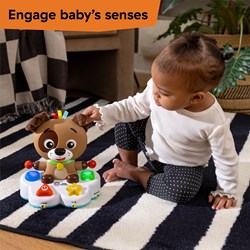 Baby Einstein tamburo musicale educativo giocattolo interattivo multicolore