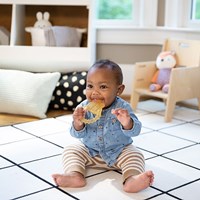 Ingenuity massaggiagengive bambino Cool Bite Water Teether Bomby multicolore senza BPA