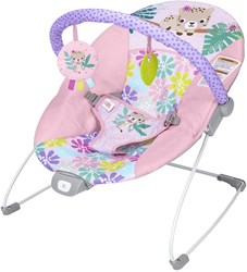 Bright Starts sdraietta per bebè Wildflower Wonders con vibrazione