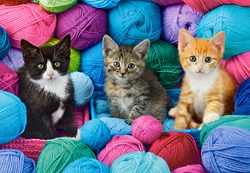 Castorland puzzle gatti Kittens in a Yarn Store - 1000 pezzi