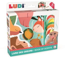 Ludi libro profumato frutta giocattolo sensoriale libro interattivo