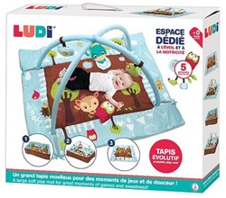 Ludi tappeto gioco neonato gufo blu con archi e giochi sensoriali