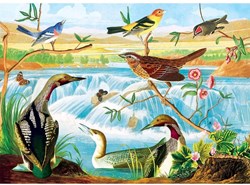 Master Pieces puzzle Audubon uccelli e ruscello 1000 pezzi