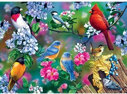 Master Pieces puzzle Audubon Songbird Collage puzzle 1000 pezzi