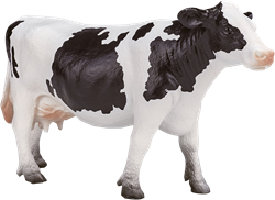 Animali della fattoria