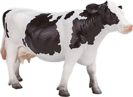 Animali della fattoria