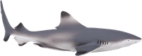 Mojo Giocattolo Sealife Squalo di Barriera Blacktip - 387357-2