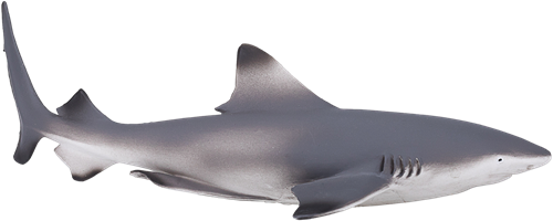 Mojo Giocattolo Sealife Squalo di Barriera Blacktip - 387357-2