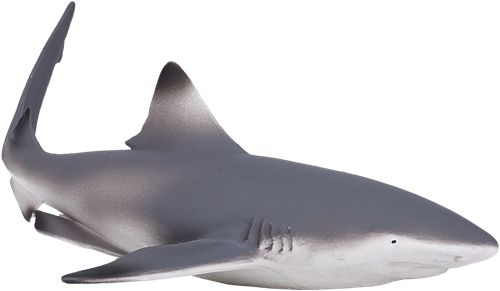Mojo Giocattolo Sealife Squalo di Barriera Blacktip - 387357-3