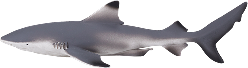Mojo Sealife speelgoed Zwartpuntrifhaai - 387357