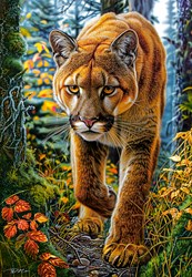 Castorland puzzle Leone di montagna foresta - puzzle 1500 pezzi