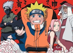 Nathan Naruto's Adventures - 500 Teile