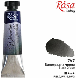 Rosa Gallery acquerello tubo 10 ml nero uva vernice professionale