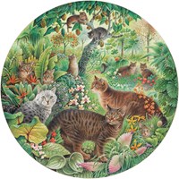 Grafika puzzle - puzzle rotondo gatti tigre nella giungla 501 pezzi