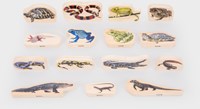 tickit Wooden Reptile & Amphibian Blocks - Pk15