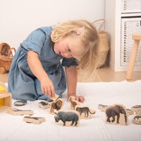 Wooden Wild Animal Blocks-2