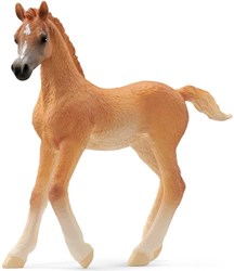 Schleich Horse Club Puledro arabo - Figura cavallo marrone