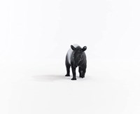 Schleich Wild Life Tapir - Figura da gioco - Giocattolo per bambini 14850-2