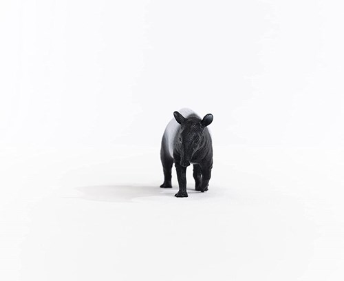 Schleich Wild Life Tapir - Figura da gioco - Giocattolo per bambini 14850-2