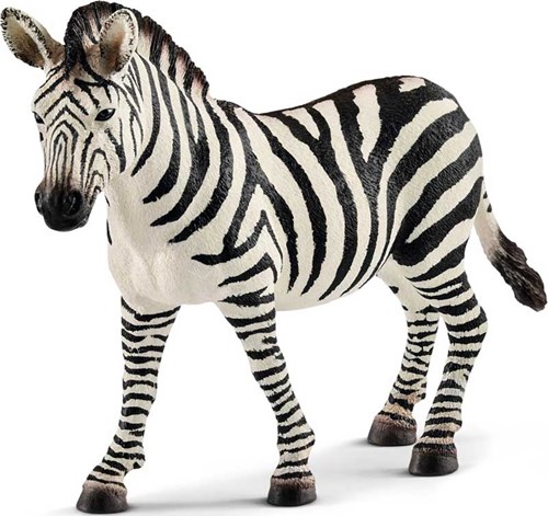 Schleich Safari - Giocattolo zebra femmina per bambini 14810