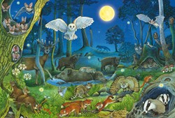 Schmidt puzzle animali foresta notte 100 pezzi puzzle bambini