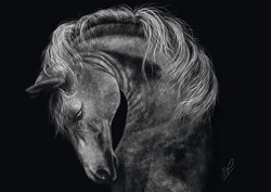 Schmidt puzzle - Puzzle cavallo potenza 1000 pezzi - Qualità premium