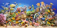 Castorland puzzle vita sottomarina - puzzle 4000 pezzi animali