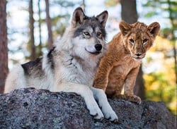 Nathan Der Wolf und der Löwe - 500 Teile