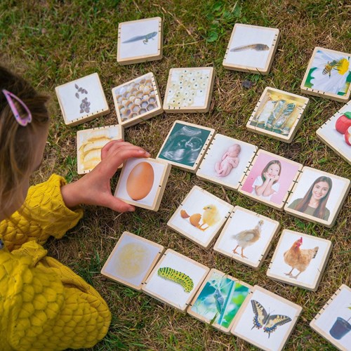 TickiT tessere in legno ciclo di vita giocattolo educativo natura-2