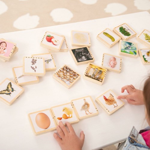 TickiT tessere in legno ciclo di vita giocattolo educativo natura-3