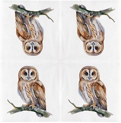 Esschert Design tovaglioli animali gufo 33cm carta bianca 20 pezzi