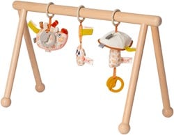 Van Dijk Toys x Dolce babygym in legno Earth