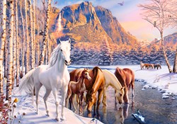 Castorland puzzle Winter Melt - 500 pezzi - puzzle animali