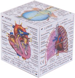 BigJigs Corpo Umano